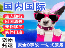 丽江三义空运地址国际宠物托运 【国